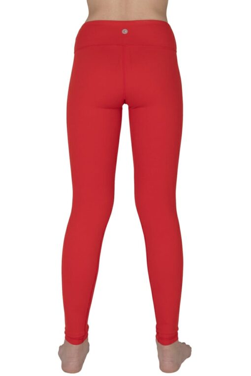 Chandra Yoga & Active Wear leggings in color Apple - back