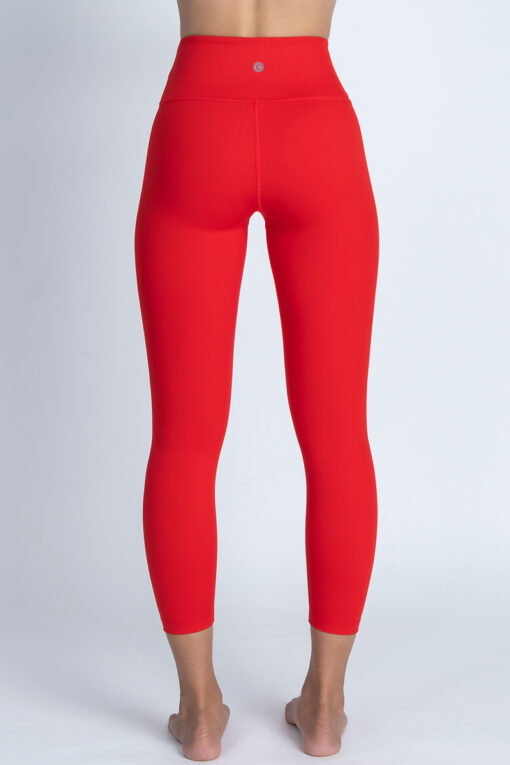 Chandra Yoga & Active Wear leggings in color Apple - back